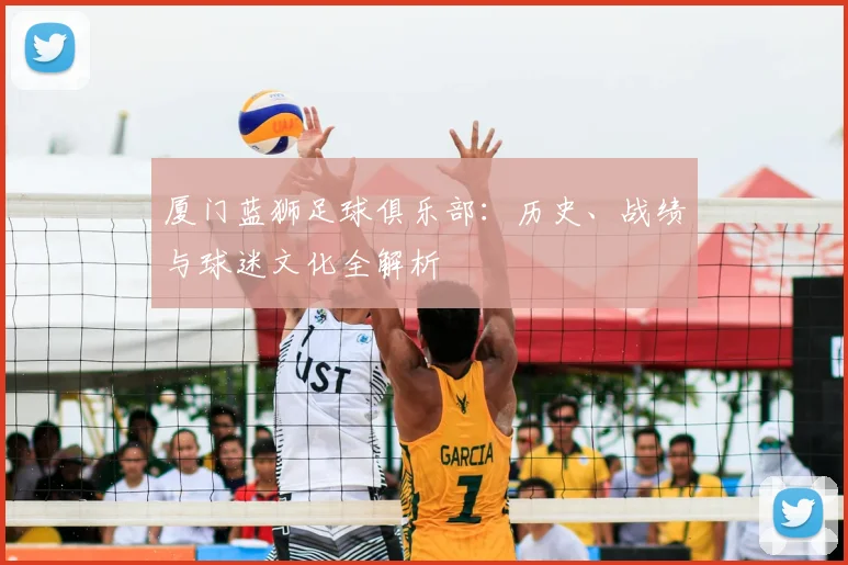 厦门蓝狮足球俱乐部：历史、战绩与球迷文化全解析